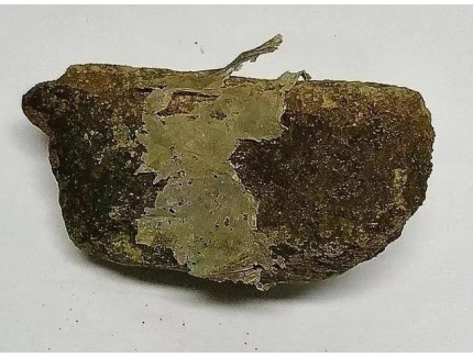 科學家首次發現“塑料巖石”，證實兩者間存在化學鍵