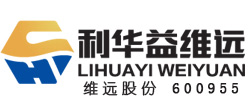 利华益维远化学股份有限公司